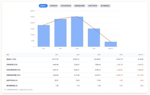 中創(chuàng)股份上市前后業(yè)績大反轉 高增長神話難持續(xù)，應用軟件服務行業(yè)隱憂何解？